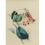 Thomas Holland (British, 1795-1865). 'Study of Fuchsia Fulgens', signed, watercolour, 24.5cm x 18cm,