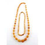 1920's graduated amber necklace, oval beads, largest measuring 25 x 20mm, alternately set with