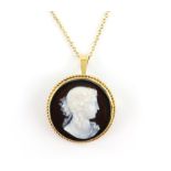 Carved cameo brooch pendant, with a rope detail border and a brooch pin and fold down bail,
