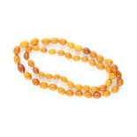 Amber oval bead necklace, strung with knots, largest bead measuring 15 x 11mm, 70cm in length