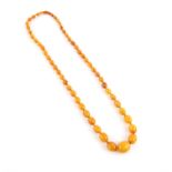 1920's amber bead necklace, graduated amber beads, strung with knots, largest amber bead measures