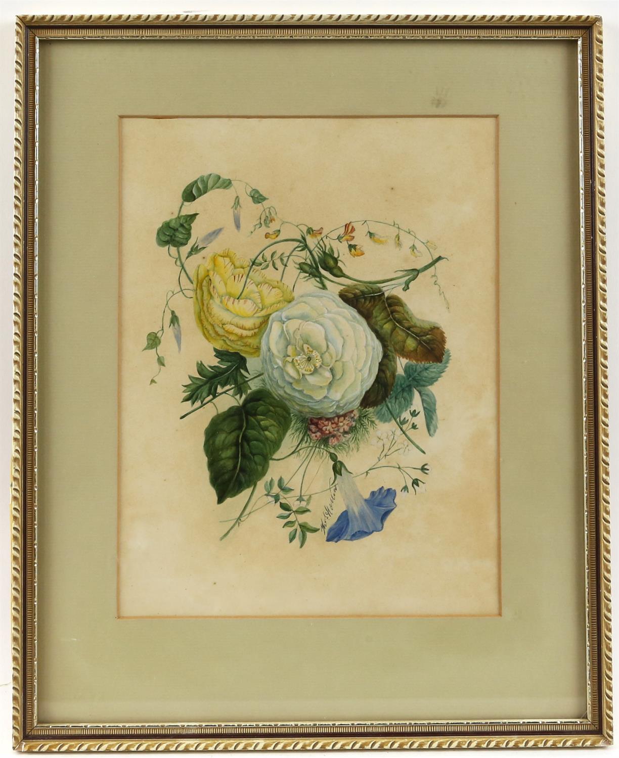 Thomas Holland (British, 1795-1865), set of four flower studies, signed, watercolours, - Image 6 of 7