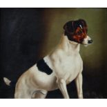 19th century British school, a Jack Russell terrier, oil on canvas, unsigned, in giltwood frame,