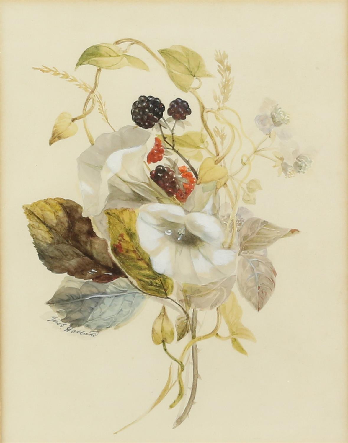 Thomas Holland (British, 1795-1865), set of four flower studies, signed, watercolours, - Image 2 of 7