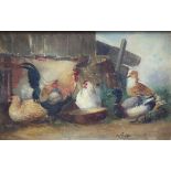 Marie Schwerin (19th Century). Chickens and duck. Oil on board. 10 x 15cm. Framed.