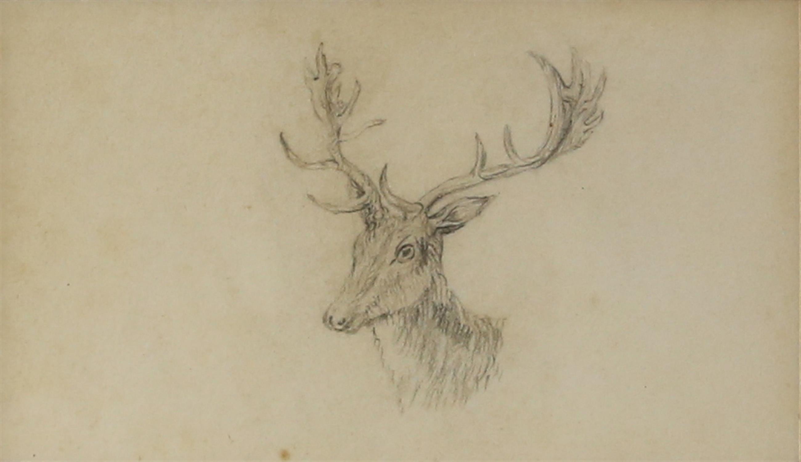 19th century English School, stag's head, pencil drawing, 6.5cm x 11cm, From the property of a