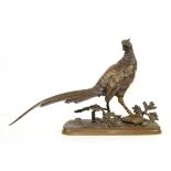 Cast bronze model of a cock pheasant, 39cm W 9cm D 25cm H