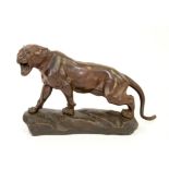 After Thomas François Cartier (1879-1943) bronze model of a lioness, signed T CARTIER,