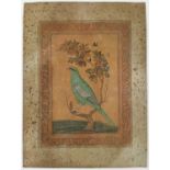 Bird on a Tree Trunk. Vintage print on cloth by Cash’s of Coventry after the original Mughal