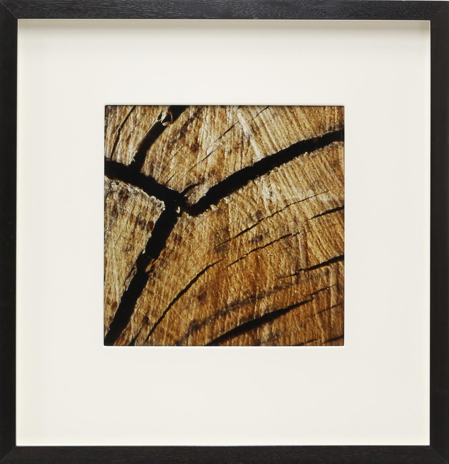 Large quantity of framed contemporary prints, depicting different leaf patterns. Framed. - Image 4 of 10