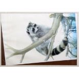 Eric Tenney (Contemporary). Nature scene with racoon. Lithograph. Framed. 107 x 80cm.