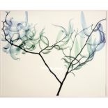 Meyers, 'Wind'. Two abstract prints depicting tree branches. One bearing original gallery label.
