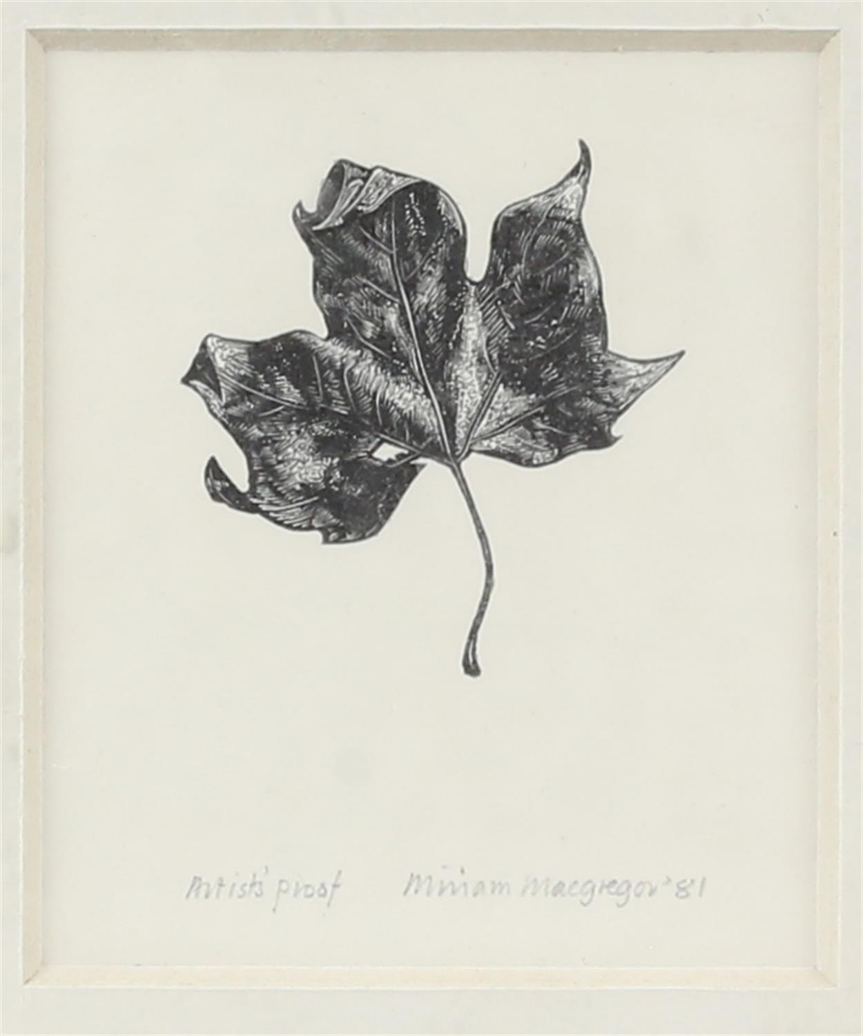 Miriam MacGregor (b.1935). Pair of botanical woodblock prints. Both Artist’s proofs. - Image 3 of 7