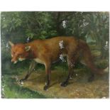 § Lionel Ellis. Two Oils, Portrait of a Fox, oil on board, unsigned. 40 x 51cm. And Cat with a