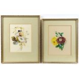 Thomas Holland (British, 1795-1865), set of four flower studies, signed, watercolours,