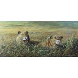 Michael Kitchen-Hurle (1941) Hunting Lionesses, acrylic on board, signed and dated 90,