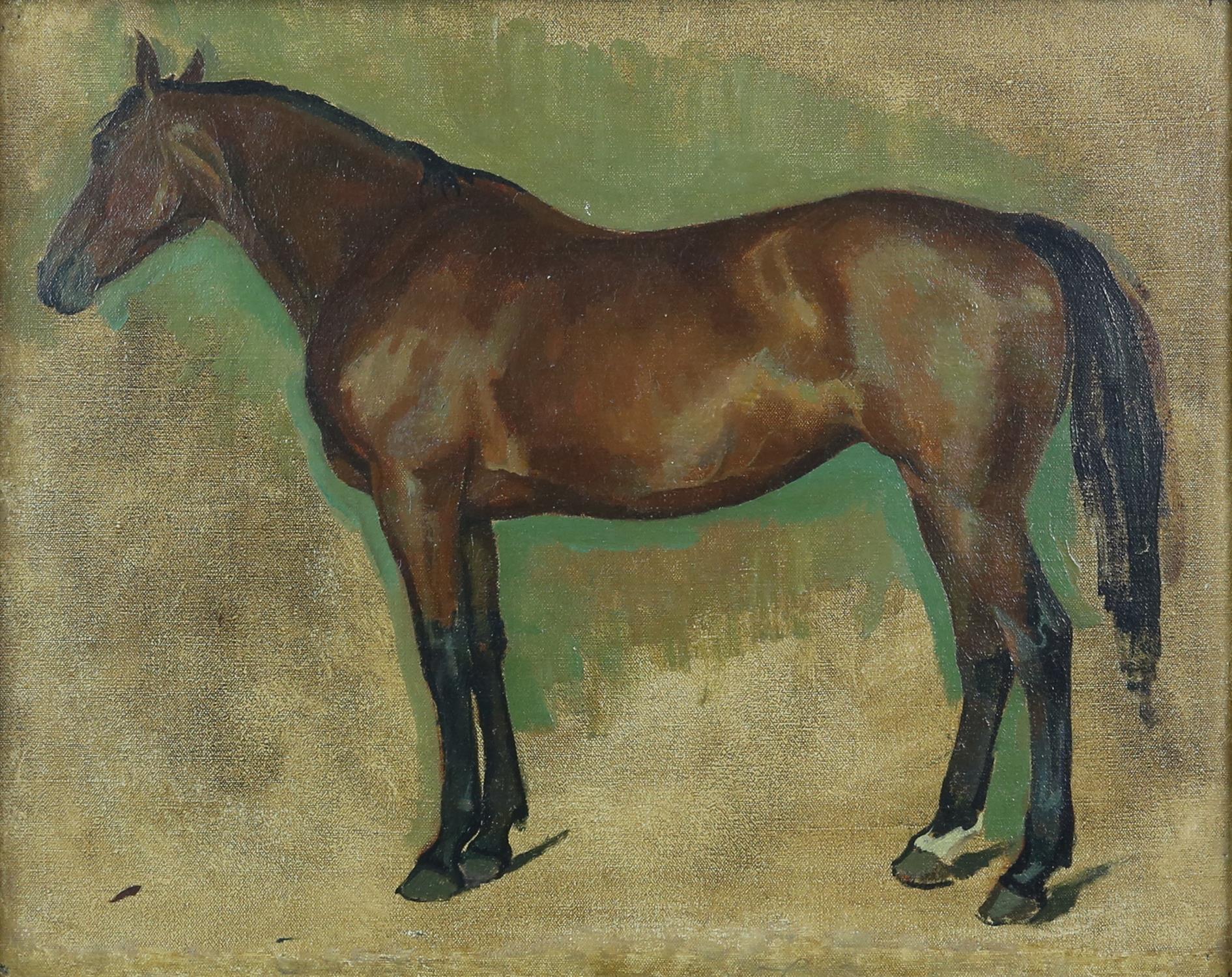 § Lionel Ellis.(1903-1988), Study of a Horse. Oil on board, unsigned. 44 x 52cms Lionel Ellis ARCA