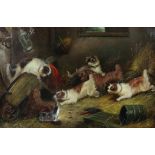 George Armfield (1808-1893), Puppies playing in a barn, oil on canvas, signed lower left, 38 x 59cm,