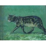 § Lionel Ellis.(1903-1988) A Prowling Cat. Oil on board, unsigned. 46 x 56cms. Lionel Ellis ARCA