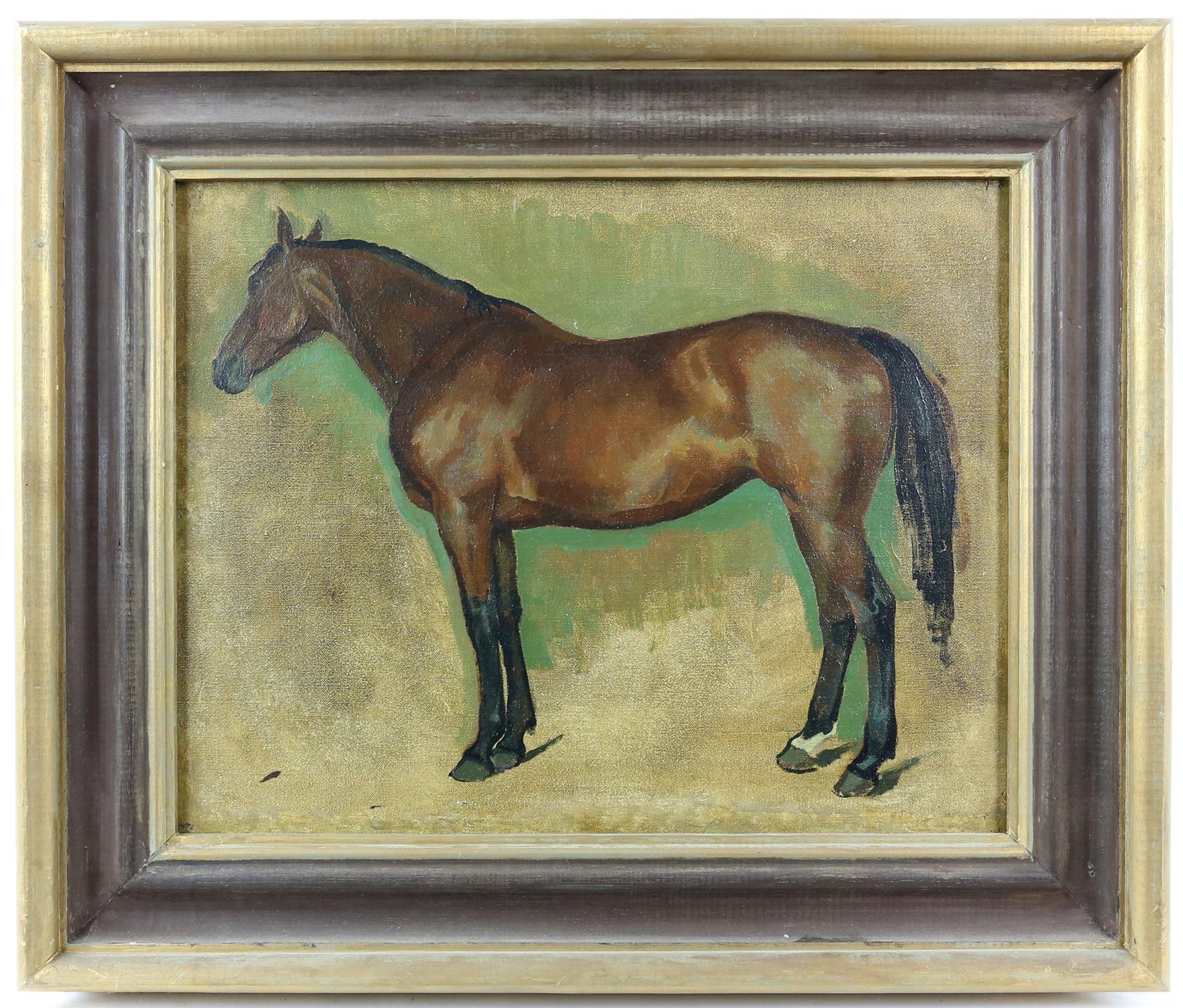 § Lionel Ellis.(1903-1988), Study of a Horse. Oil on board, unsigned. 44 x 52cms Lionel Ellis ARCA - Image 2 of 3