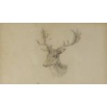 19th century English School, stag's head, pencil drawing, 6.5cm x 11cm, From the property of a
