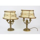 Pair of 20th century gilt metal twin branch lamps with scrolling and fruit decoration on circular