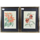 Pair of botanical prints, both framed and glazed. Image size 27 x 19cm each, with a map of Antigua.