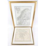 Hand-coloured map of Scandinavia drawn up by M Lapie, from Atlas Universel, framed and glazed, 53.