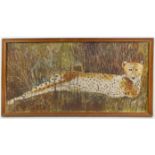 Contemporary oil on board of a cheetah, indistinctly signed lower right, 37 x 75.5cm