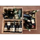 Mixed lot wine to include 8 bottles of Chavignol Sancerre, 2 Magnum Mosel Blumshen 1975 (30)