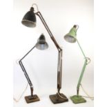 Two vintage Herbert Terry Anglepoise lamps, together with another larger anglepoise desk lamp (3)