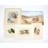 Archibald Thorburn. A collection of 8 prints comprising a limited edition 111 of 750 depicting