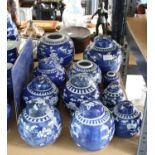 Approximately 12 Chinese blue and white prunus pattern ginger jars