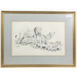 After C B Cunningham, four wildlife prints of Zebras, Rhinos, Elephants, and Lions, each 24 x 38cm,