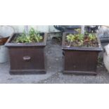 Pair of bronzed glaze terracotta square planters, with bay trees, H42 cm 48 cm square