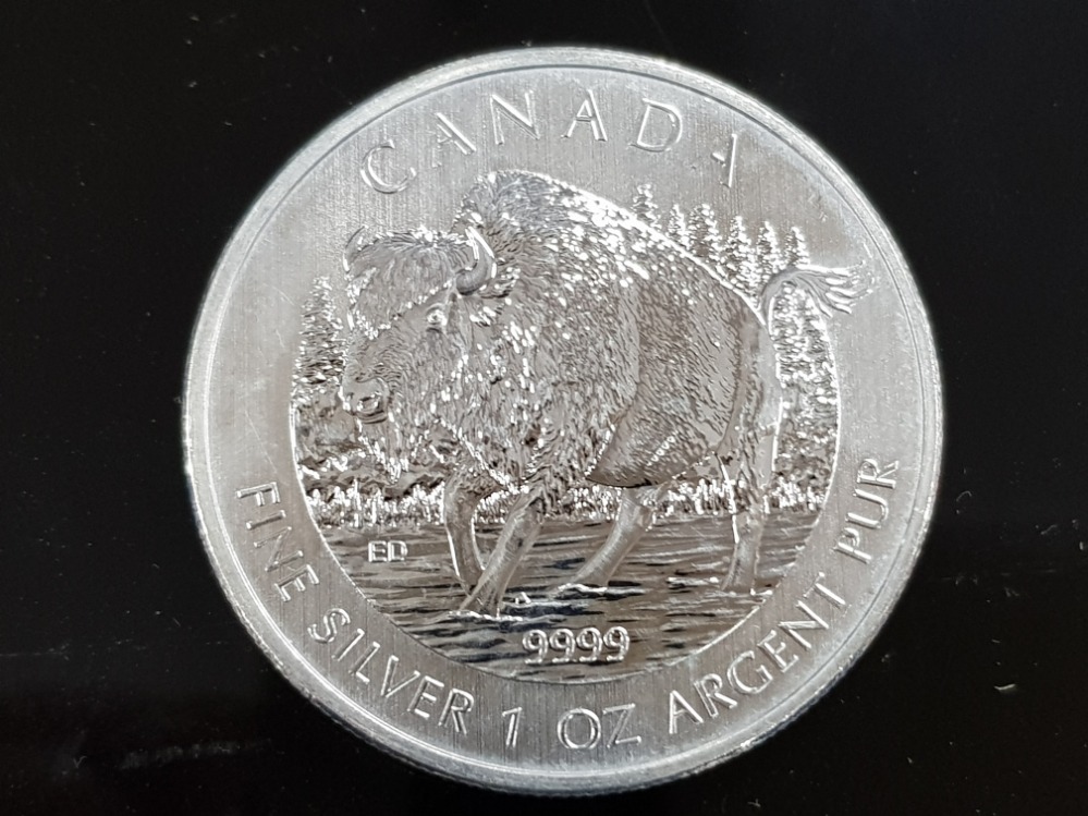 CANADA 2013 FINE SILVER 5 DOLLAR BULLION 1 OUNCE UNC