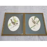 2 BIRD PRINTS INCLUDES CHAFFINCH AND WHITETHROAT 1976 BY JOHN GARLAND