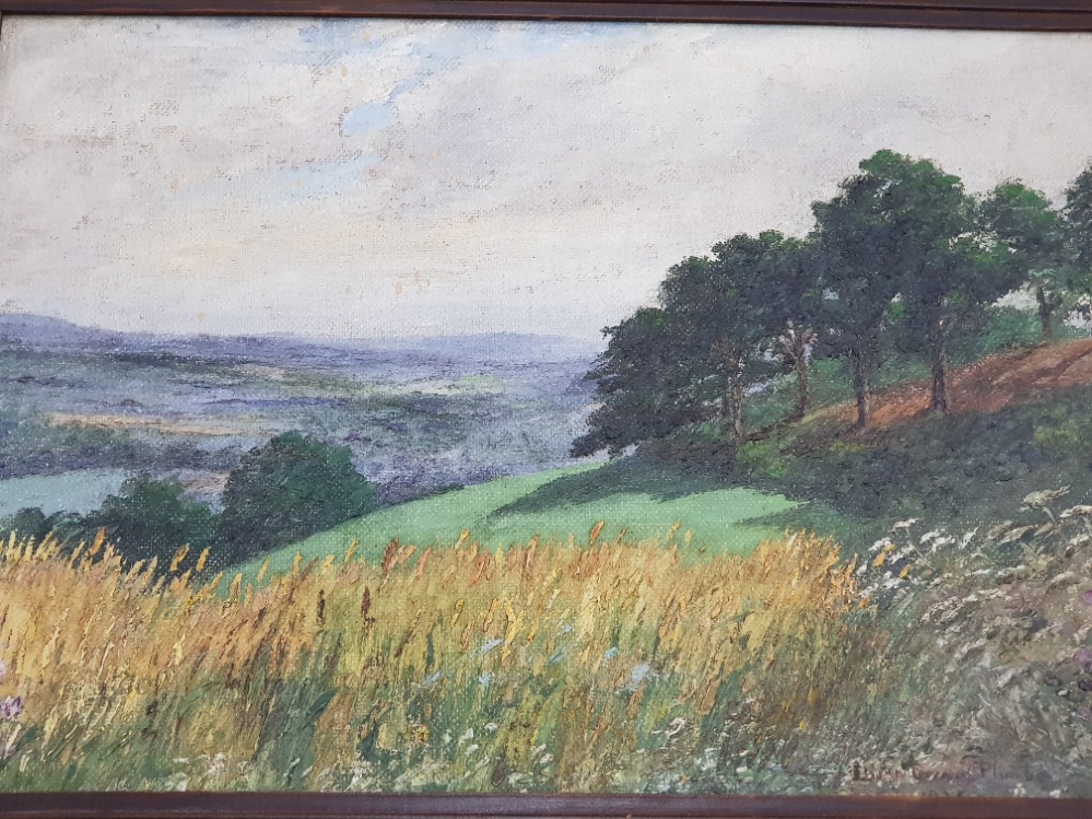 FRAMES OIL PAINTING ON BOARD TITLED THE WEALD FROM BAYLEYS HILL SIGNED LILIAN PLUMBE 1934 - Image 4 of 8