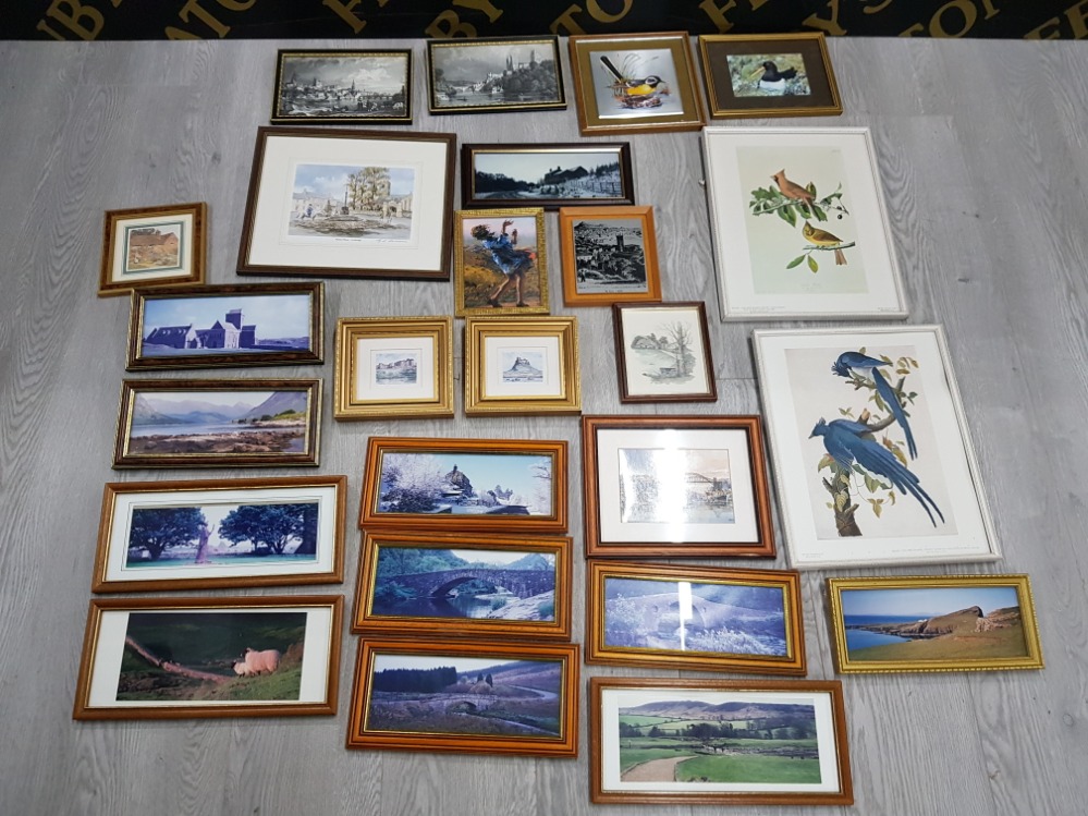 COLLECTION OF FRAMED PRINTS MAINLY OF LOCAL INTEREST AND BIRDS FROM THE NATIONAL GALLERY OF ART