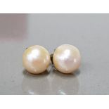 A PAIR OF CULTURED PEARL EARRINGS ON SILVER POSTS