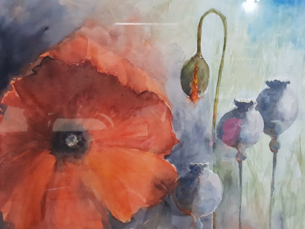 FRAMED WATERCOLOUR OF POPPIES SIGNATURE INDISTINCT 61 X 77 CM - Image 2 of 4