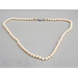 PEARL NECKLET WITH SILVER AND MARCASITE CATCH AND SAFETY CHAIN IN CASE