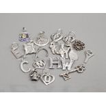 20 MIXED SILVER CHARMS 17.9G GROSS