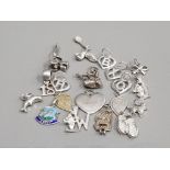 20 MIXED SILVER CHARMS 25.8G GROSS