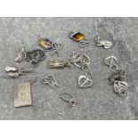 20 MIXED SILVER CHARMS