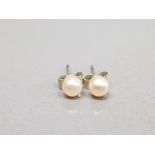 A PAIR OF SILVER CULTURED PEARL STUD EARRINGS