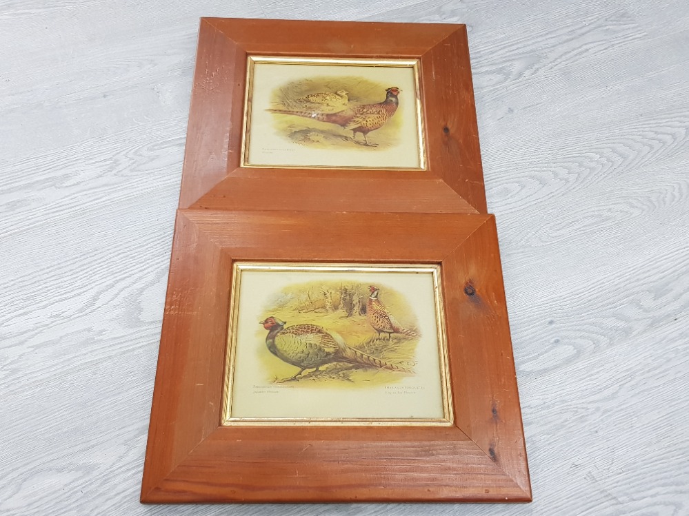 PAIR OF FRAMED SPORTING PRINTS OF PHEASANTS