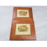 PAIR OF FRAMED SPORTING PRINTS OF PHEASANTS