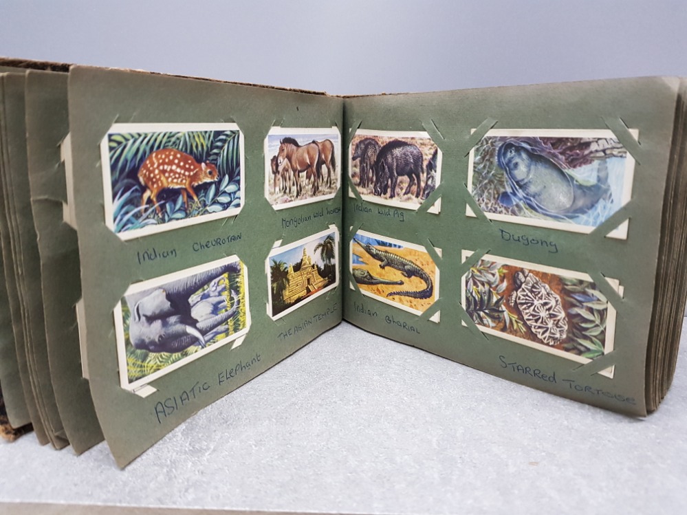 ALBUM CONTAINING WELL OVER 100 VINTAGE TEA COLLECTORS CARDS, DIFFERENT SETS INCLUDING BRITISH WILD