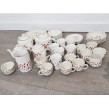 POPPIES TEA SET, 53 PIECES IN TOTAL